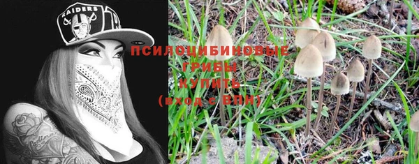 прущие крисы Аркадак