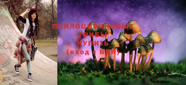 прущие крисы Аркадак