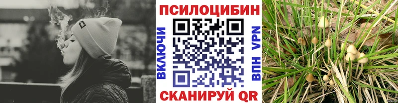 Псилоцибиновые грибы мицелий Гдов